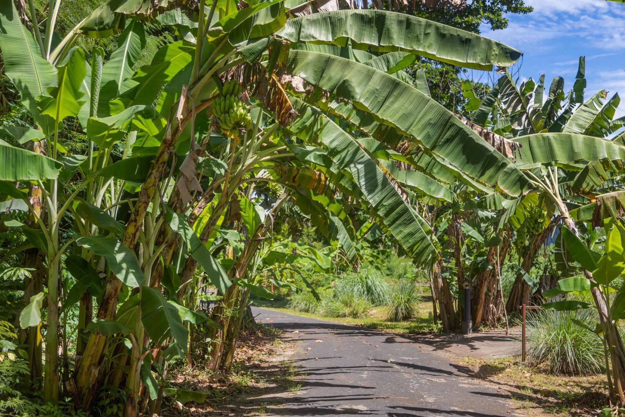 Iririki Island Resort & Spa Port Vila Exteriör bild
